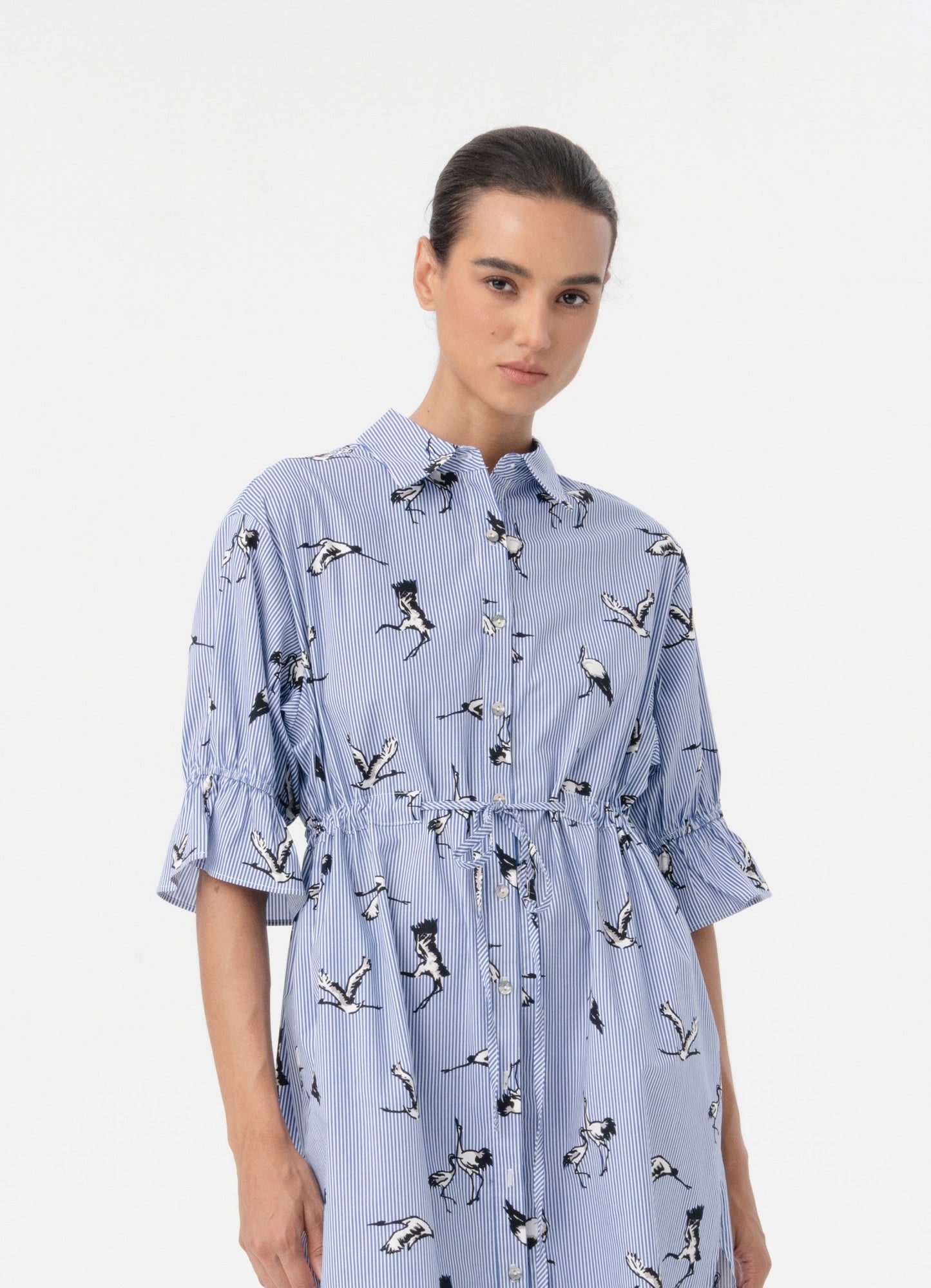 Vena Shirt Dress